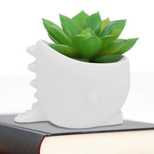 Load image into Gallery viewer, Cute Dinosaur Wide Mouth Silicone Flower Pot [It Swallows My Plants!]