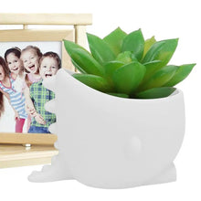 Load image into Gallery viewer, Cute Dinosaur Wide Mouth Silicone Flower Pot [It Swallows My Plants!]