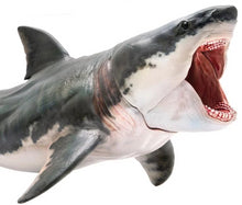 Load image into Gallery viewer, Megalodon Mouth Can Be Opened [Open and Close Its Mouth] - Tiny T-Rex Hands