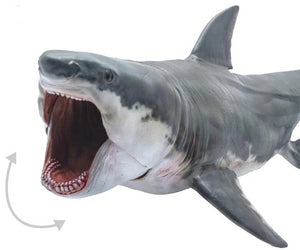 Megalodon Mouth Can Be Opened [Open and Close Its Mouth] - Tiny T-Rex Hands