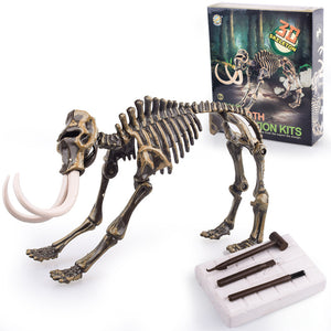 Dinosaur Fossil Excavation Kit [Dig For Your Dinosaur!] - Tiny T-Rex Hands