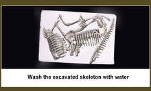 Load image into Gallery viewer, Dinosaur Fossil Excavation Kit [Dig For Your Dinosaur!] - Tiny T-Rex Hands