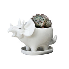 Load image into Gallery viewer, Ceramic Triceratops Flowerpot With Tray [Watch my plants grow!] - Tiny T-Rex Hands