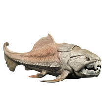 Load image into Gallery viewer, Toy Dunkleosteus Dinosaur Model [The armored fish!] - Tiny T-Rex Hands